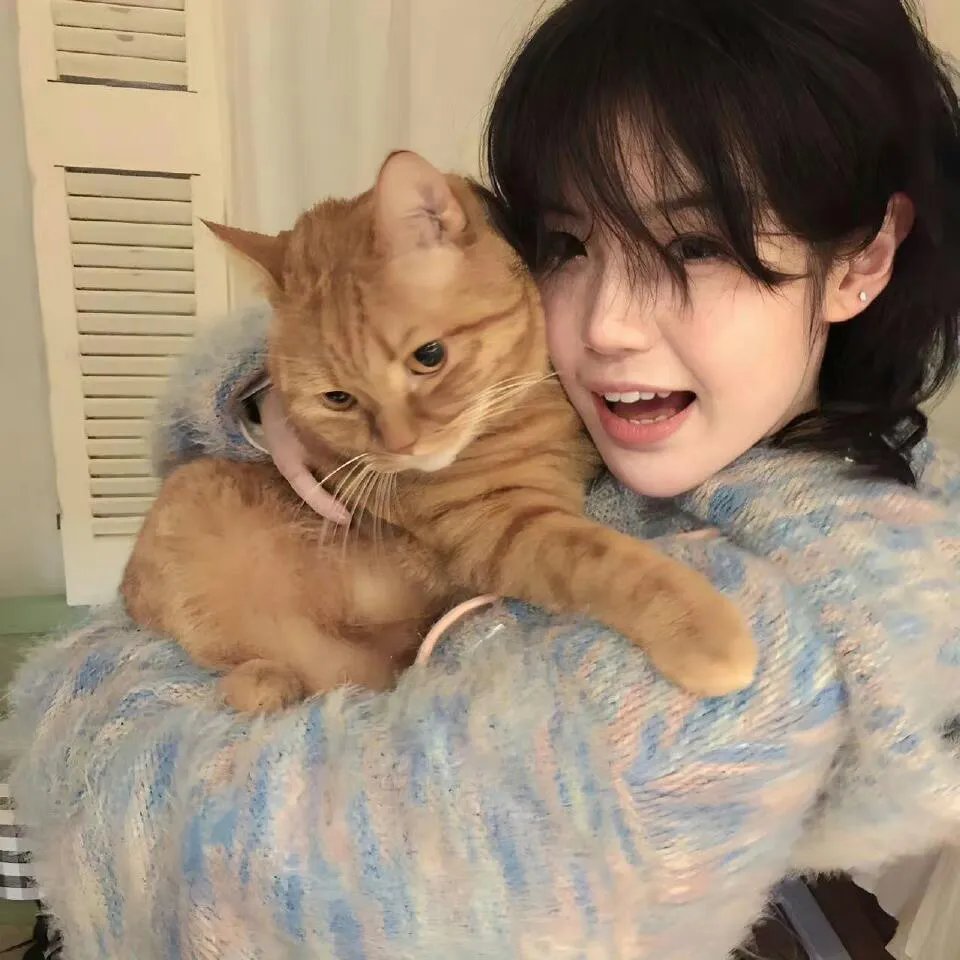 猛男诞生记